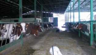 ekologija.rs Blacu