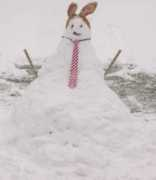 galeries.lalibre.be Blareau