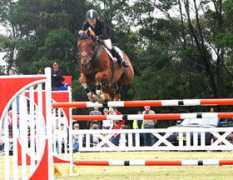 vickiroycroft.com.au Blatini