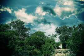 funnyfarmmedia.com Blaznik