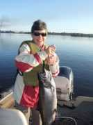 photos.mlive.com Blendin