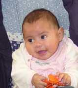 scalponefamilytree.info Bleyker