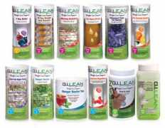 gilean.co.za Blindell