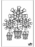 nukleuren.nl Bloemen