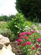 kerjean.info Bloemen