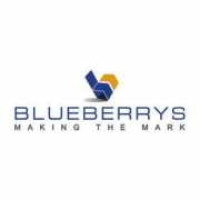 Blueberrys