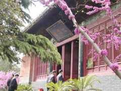 news.big5.enorth.com.cn Bmsi