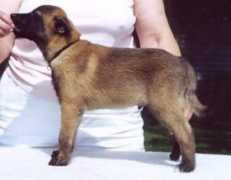 tagalongprairie.com Boberschmidt