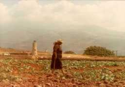 rijnrijkers.nl Boerin