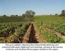 wine.appellationamerica.com Bokisch