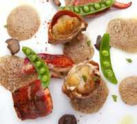 timeoutbeijing.com Bombana