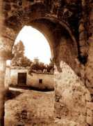 alva-promace.com Bonachera