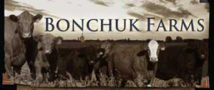 Bonchuk