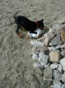 gallery.site.hu Boncy