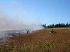 panoramio.com Bonesteele