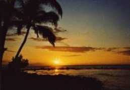 aloha-health.ch Bongni