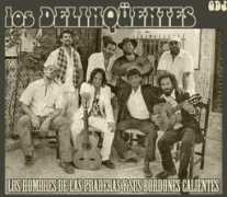 Bordones