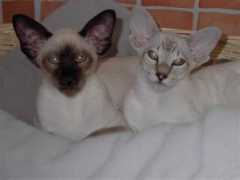 annelovs.se Borisuth