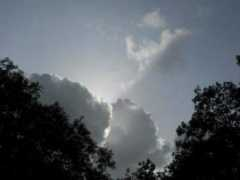 samirbharadwaj.com Borivali