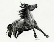 artwanted.com Bormans