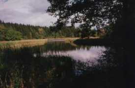 Boukal
