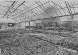 roncq.free.fr Boulois