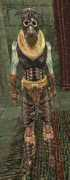 morrowind.bonusweb.cz Bourich