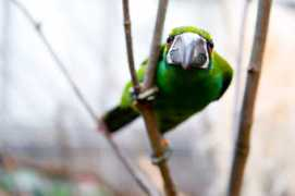 blogs.courierpostonline.com Bovitt
