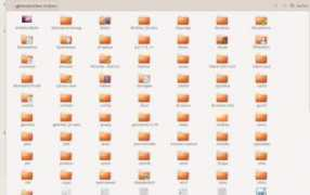 askubuntu.com Braiam