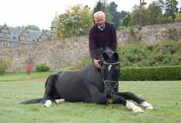 langels-gbr.de Brakhan