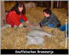 Brammetje