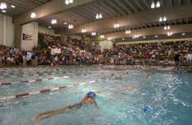 princetonswimming.com Branin