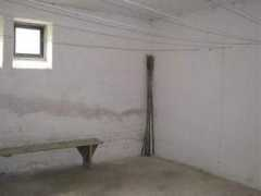 rokycansky.denik.cz Brasich