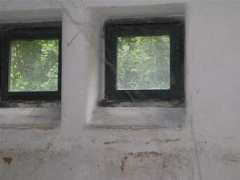 rokycansky.denik.cz Brasich