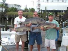 charismacharters.com Brasselle