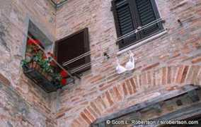 slrobertson.com Brassiere