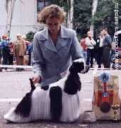 amcockers.narod.ru Breika