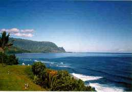 oceanfrontproperties.com Breiseth