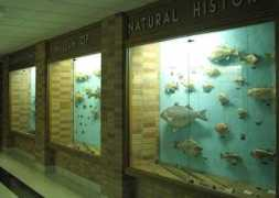 kansastravel.org Breukelman