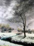 Briastre