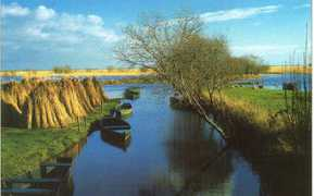 Brierre