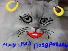 citycat.ru Brigadin