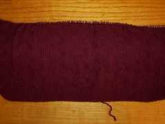 Brocade