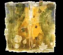 storyspell.com Broekman