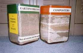 wormwoman.com Buckerfield