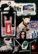 agorastudio.ro Bucovicean