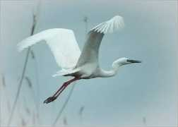 photo.qip.ru Bujhm