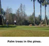 charitygolfonline.com Buncker