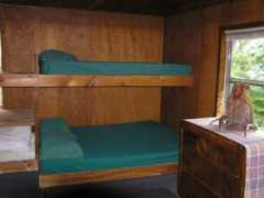 Bunk