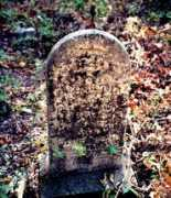 rootsweb.ancestry.com Burnse